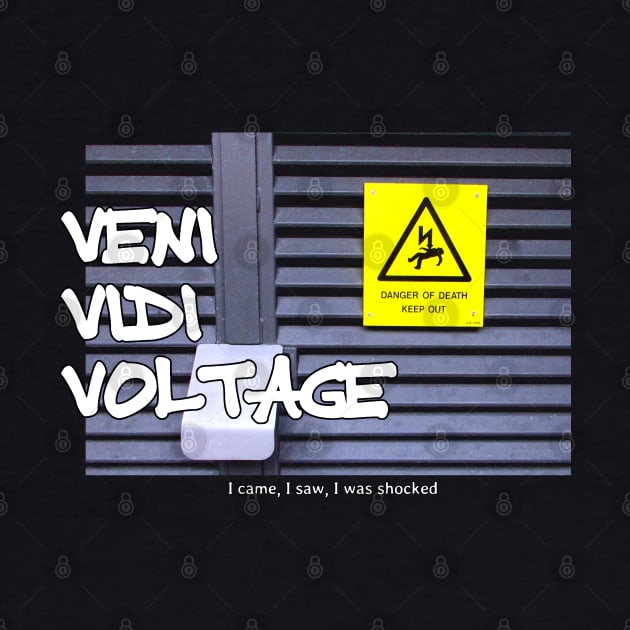 Veni Vidi Voltage - I came, I saw, I was shocked by soitwouldseem